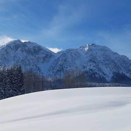 'Dasbergblick' アルタウスゼー エクステリア 写真