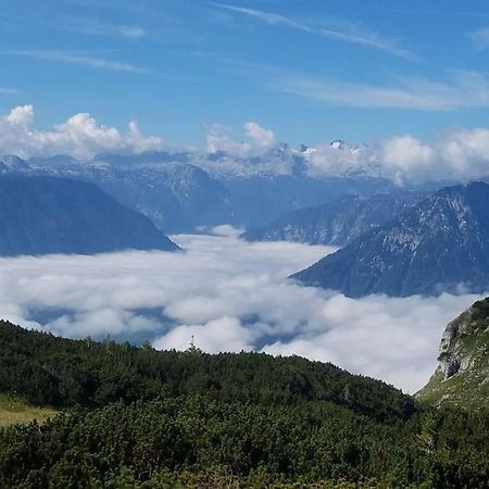 'Dasbergblick' アルタウスゼー エクステリア 写真